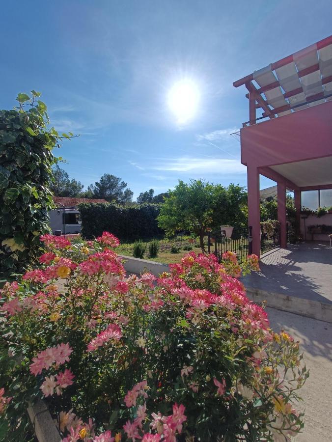 Apartman Brigita Appartement Biograd Na Moru Buitenkant foto